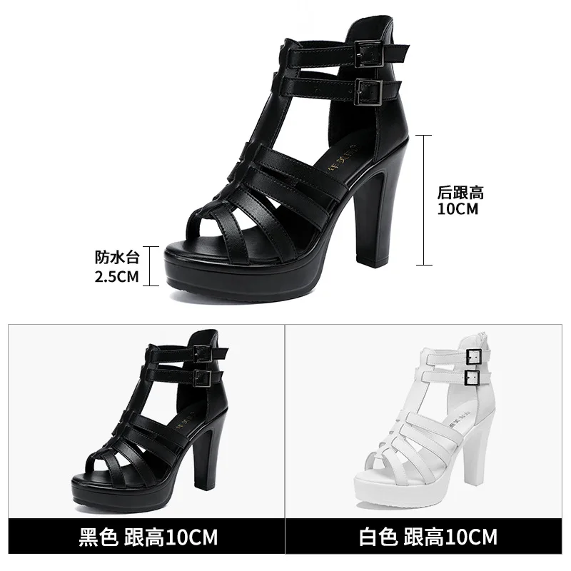 Gladiator Ladies Shoe for Wome - مراجعة Luxury Lifestyle وسعره
